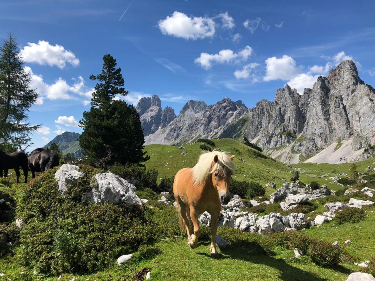 Haus Kleinberg Lägenhet Filzmoos Exteriör bild